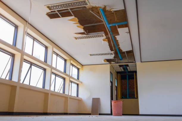 Best Mold removal after water damage  in Big Bass Lake, PA