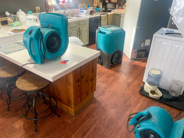 Best Water damage restoration experts  in Big Bass Lake, PA