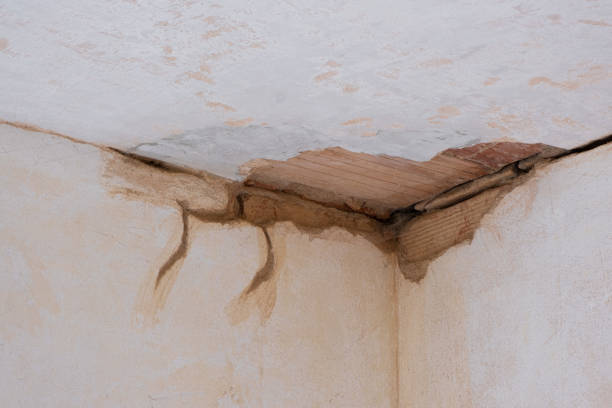 Best 24/7 water damage repair  in Big Bass Lake, PA