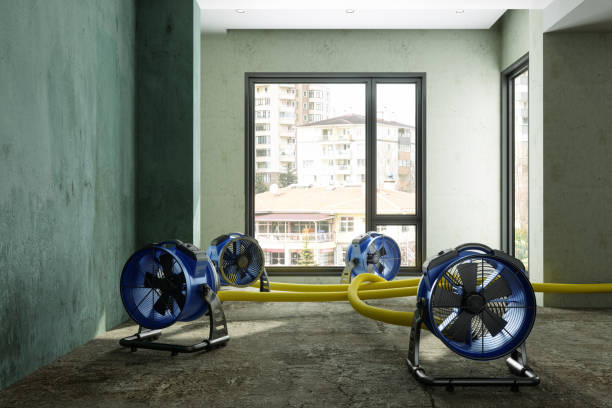 Best Water damage restoration company  in Big Bass Lake, PA